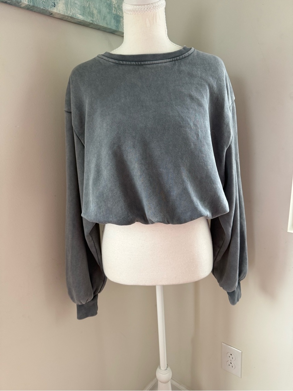 Zara Washed Slate Cropped Sweatshirt in Gray Small